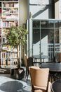 Round tables with leather chairs put near potted green tree and bookshelf close to fenced window and transparent hanging lamp in sunlight