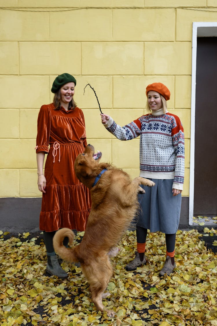 Women Playing With A Dog