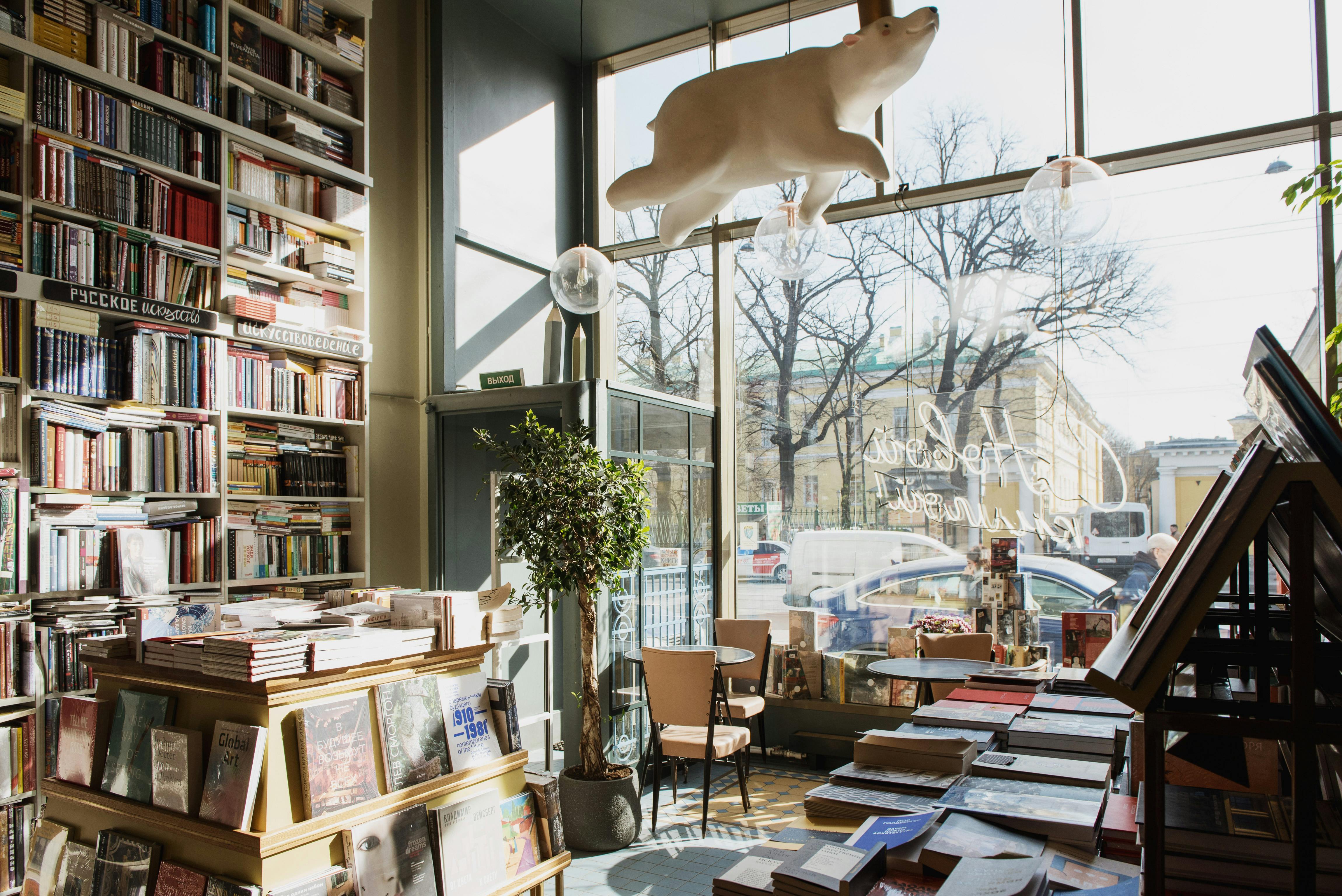 Modern style interior of bookstore in sunlight · Free Stock Photo