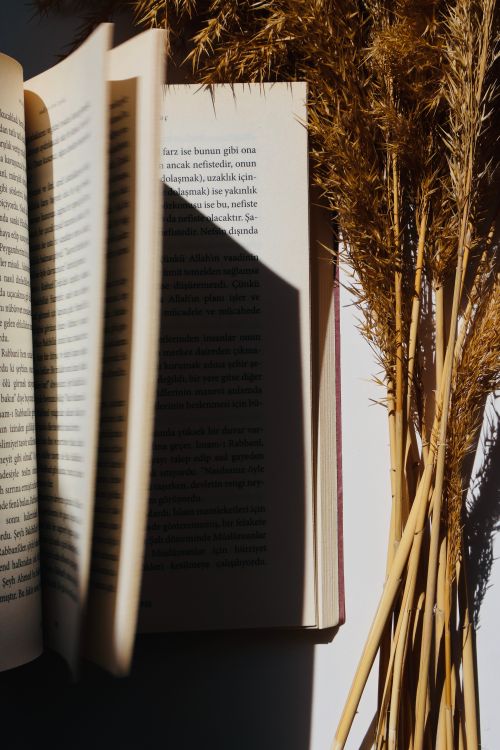 Free An open book casts a shadow over dried grass in warm sunlight, conveying calm and relaxation. Stock Photo