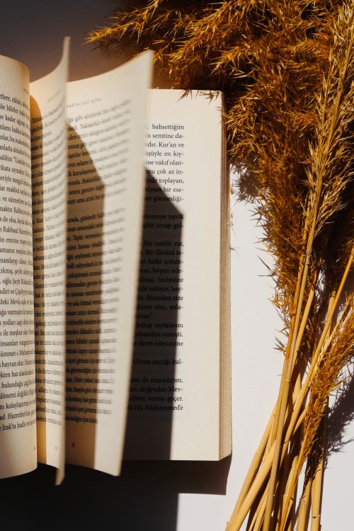 Free Open book with pages turning beside dry wheat in warm sunlight. Cozy and artistic vibe. Stock Photo