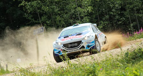 Free stock photo of peugeot 208, rally
