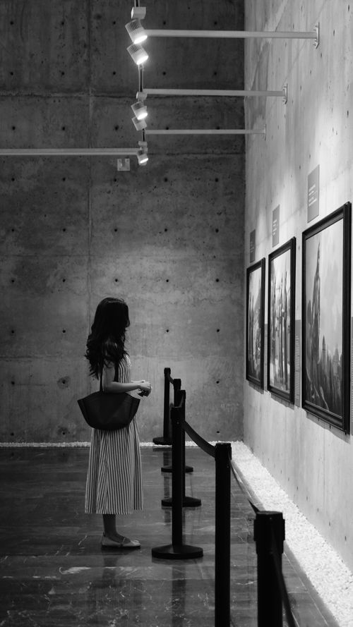 Free A woman in a striped dress admires paintings in a contemporary art gallery. Stock Photo