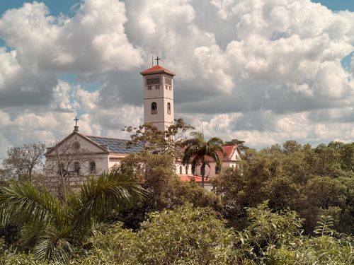 Free A stunning view of a church tower rising above lush tropical plants under a vibrant sky. Stock Photo