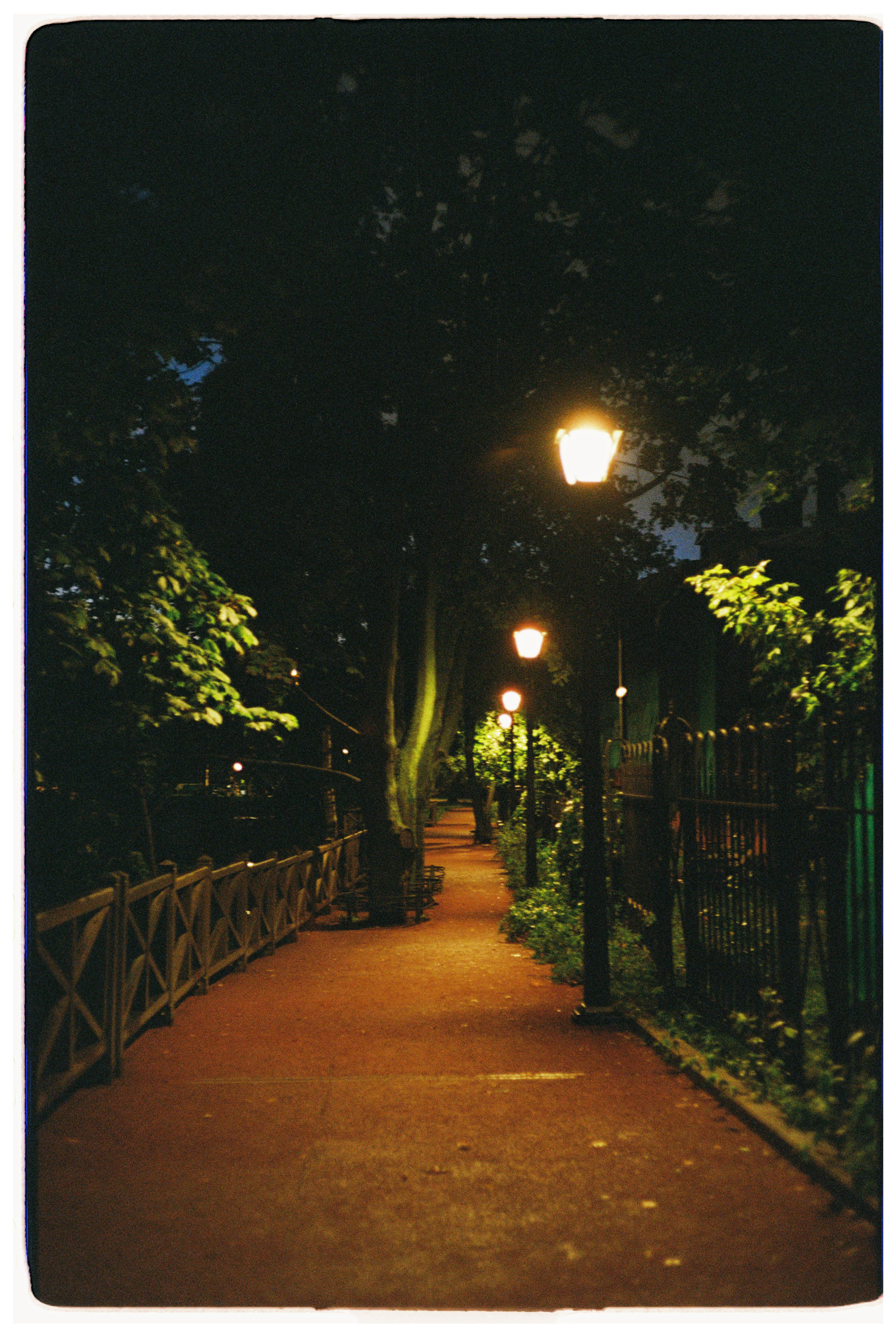 Tranquil Night Walk through Illuminated Pathway · Free Stock Photo