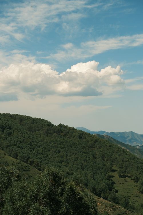 Free Scenic view of verdant hills and a cloudy sky, capturing the tranquility of nature. Stock Photo
