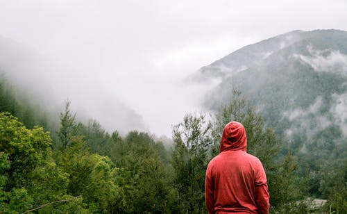 Free Person Wearing Red Hoodie Standing Near Trees With Mountain at Distance Stock Photo