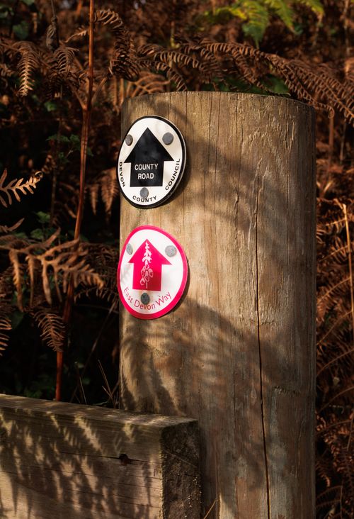 Free Two directional signs on a wooden post guide travelers on a scenic trail in Devon. Stock Photo