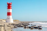 阳光明媚的海滩上，红白灯塔矗立，海豹嬉戏，海浪轻拍，蓝天如洗