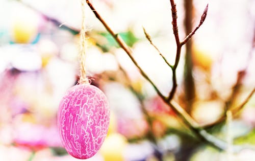 Easter Egg Hanging from Branch