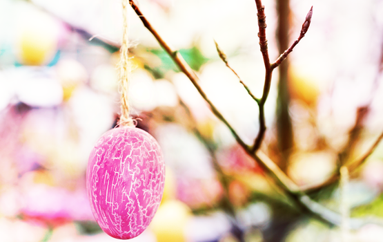 Close-up of a colorful pink Easter egg decoration hanging on a branch, symbolizing spring festivities.