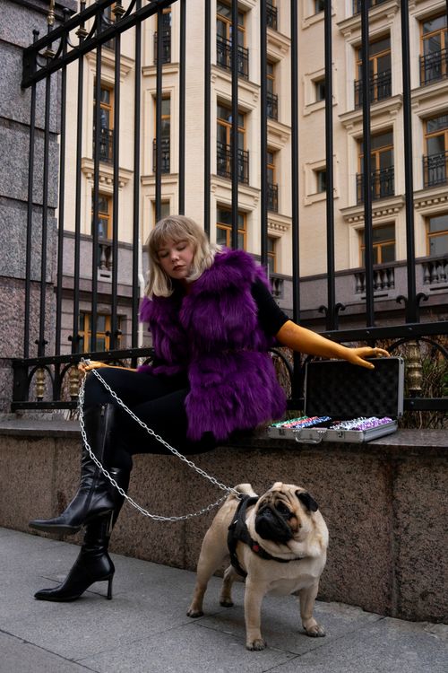 Free Stylish woman in purple fur coat and boots walking her pug on an urban street. Stock Photo