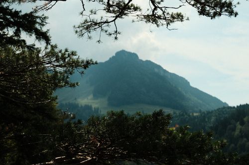 Free Peaceful mountain scene framed by pine branches in summer. Stock Photo