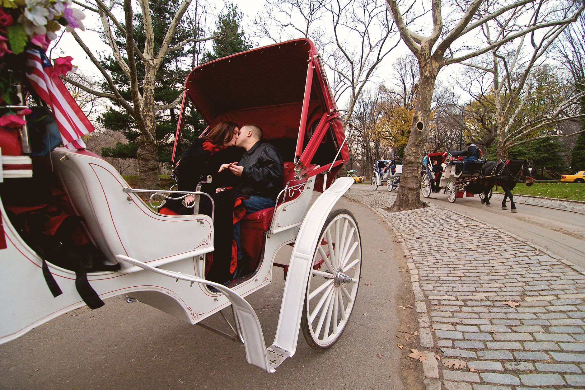 New York to Ban Central Park Horse Carriages After Fatality