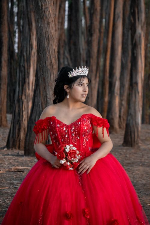Free Woman in a vibrant red gown and tiara posing in a serene forest setting. Stock Photo