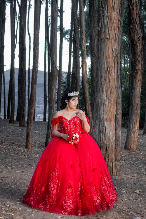 Free A woman in a stunning red gown and tiara posing in a serene forest setting. Stock Photo