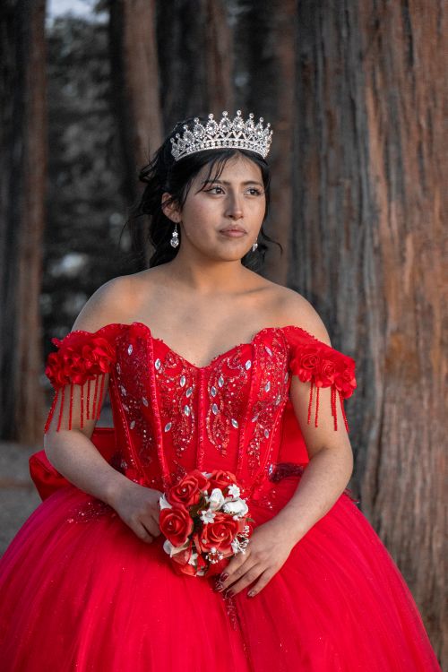 Free A young woman in a red quinceañera dress with a tiara, set against a forest backdrop. Stock Photo