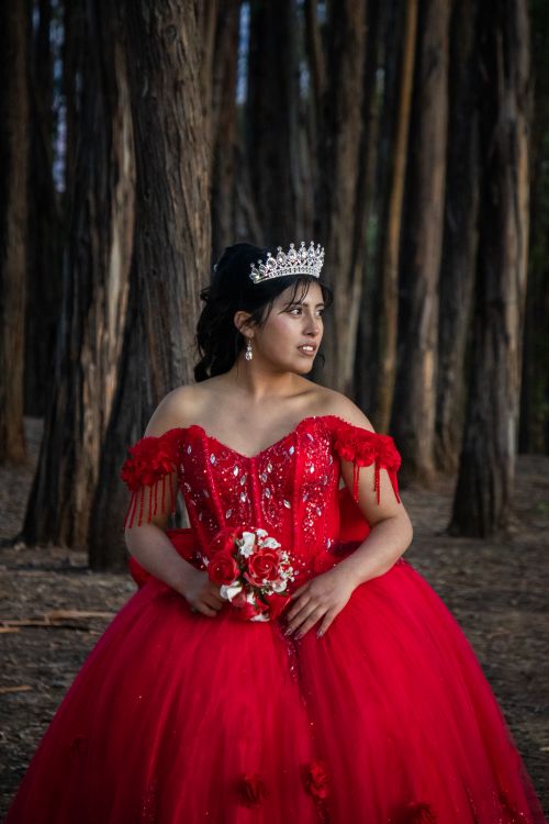 Free Beautiful portrait of a young woman in a vibrant red gown and tiara, set in a tranquil forest. Stock Photo