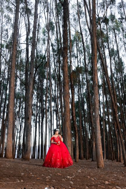 Fotomural Una mujer con un deslumbrante vestido rojo se yergue elegantemente entre altos árboles del bosque, creando una escena dramática.