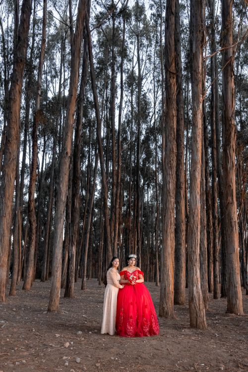 Free A scenic wedding portrait capturing elegant outfits in a serene forest landscape. Stock Photo