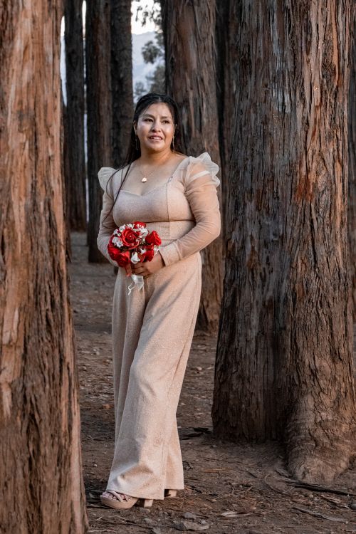 Free Portrait of a woman in a beige dress holding flowers, set against tall forest trees. Stock Photo