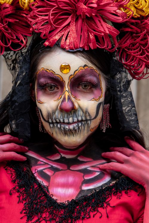 Free Portrait of a person with detailed Day of the Dead makeup and floral headpiece. Stock Photo