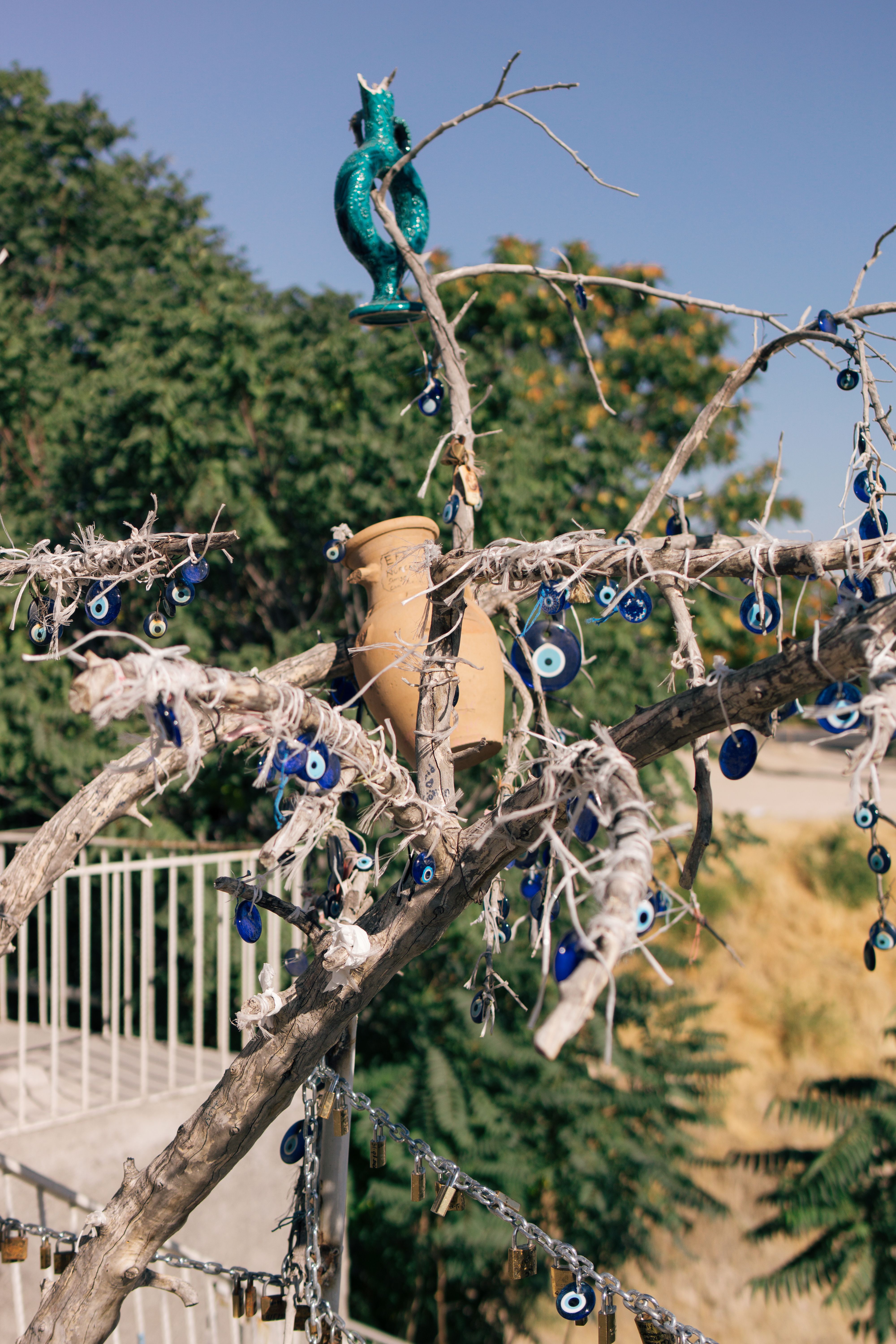 A tree in Türkiye decorated with traditional evil eye talismans against a sunny backdrop.