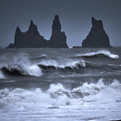 アイスランド, サーフィン, シースケープの無料の写真素材