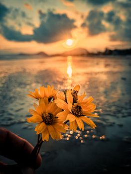 Yellow flowers held against a vibrant sunset on a Brazilian beach, capturing nature's beauty.