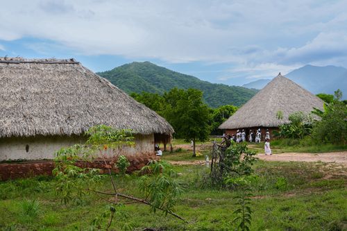 Free Explore a traditional indigenous village with thatched roofs in Pueblo Bello, surrounded by lush greenery and mountains. Stock Photo