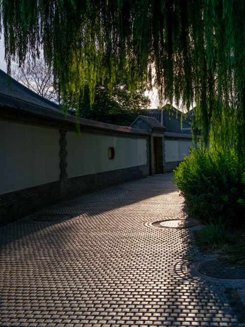 Free A tranquil paved pathway under lush willow trees at dusk, creating a serene atmosphere. Stock Photo