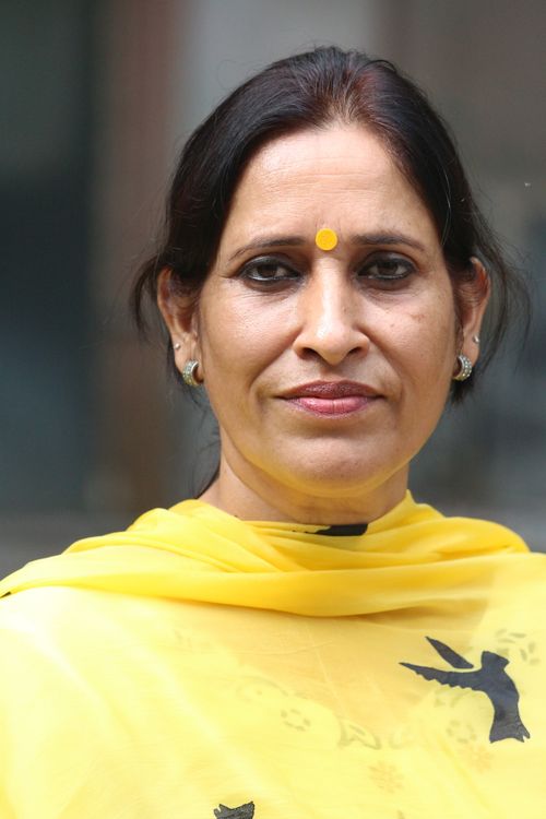 Free A woman in traditional attire with a yellow bindi smiles outdoors, displaying cultural elegance. Stock Photo