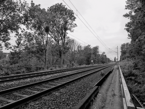 Free Monochrome view of railway tracks disappearing into the forest Stock Photo