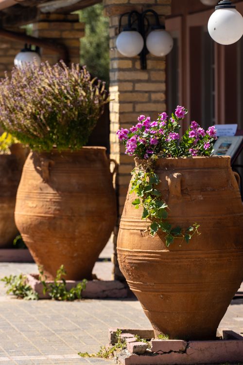 Free Rustic terracotta pots filled with vibrant flowers outside in Corfu, Greece, capturing summer charm. Stock Photo