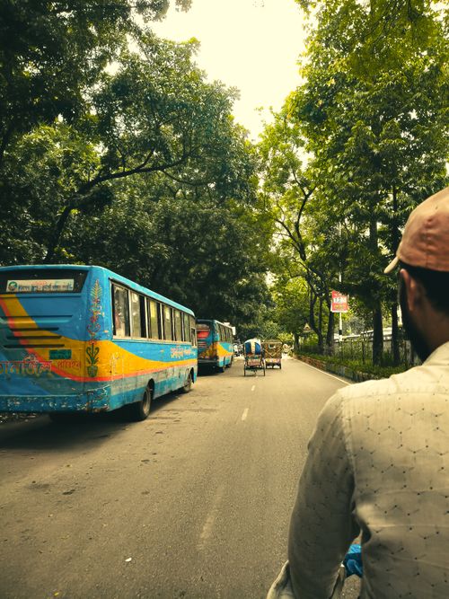 Free Capture of a vibrant road with buses and a pedestrian amidst lush greenery. Stock Photo