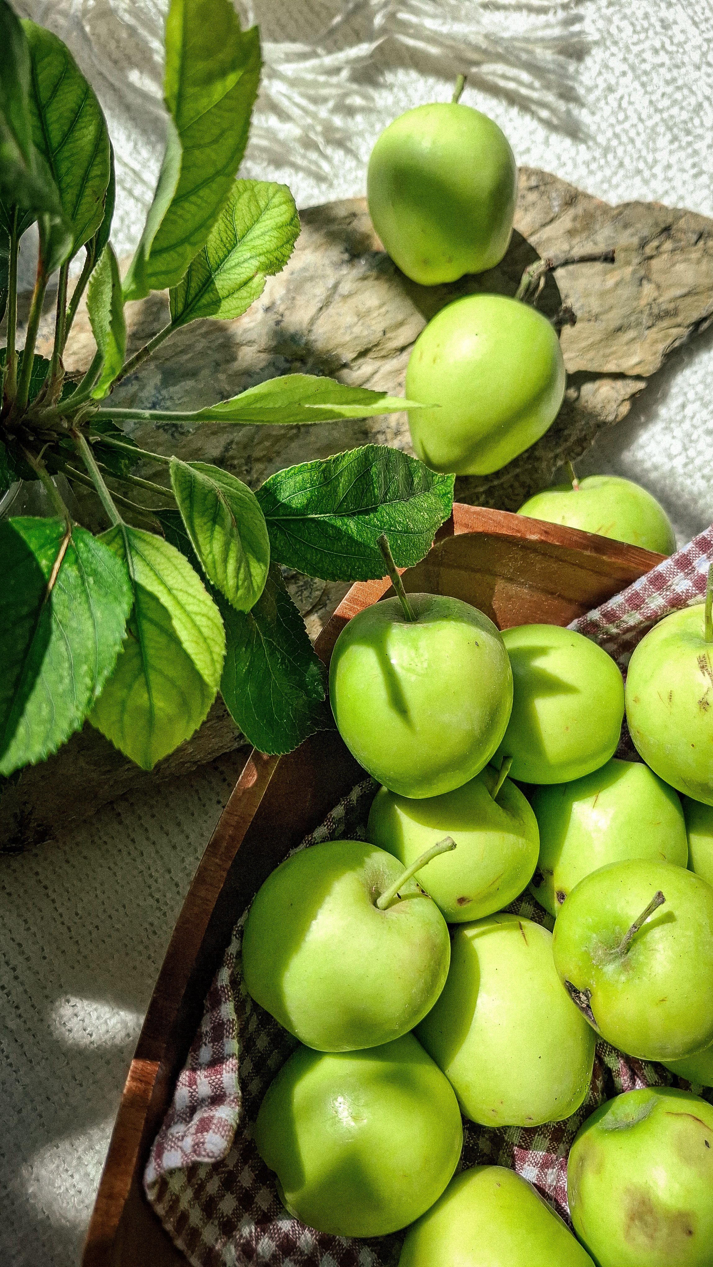 Fotomural Manzanas verdes recién recolectadas en una cesta rústica con luz natural.