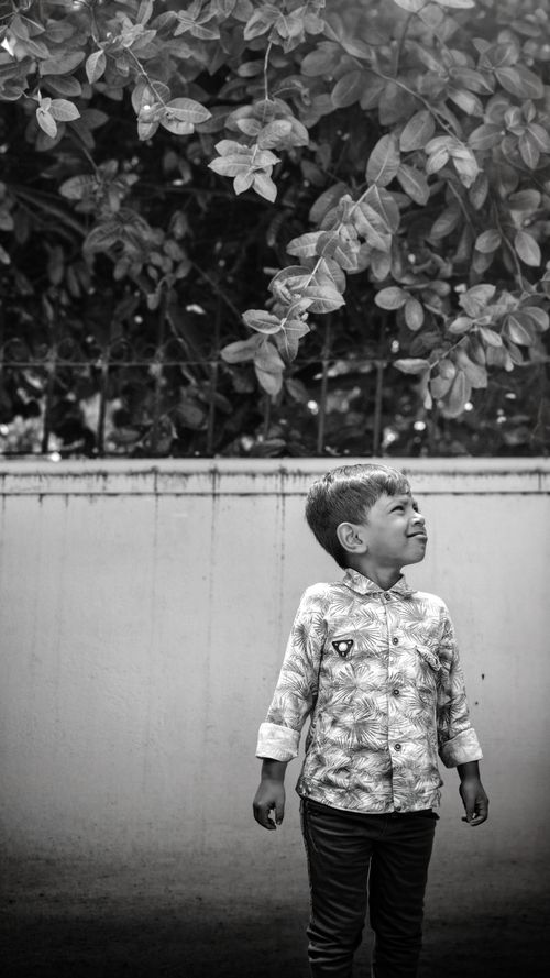 Free A young boy joyfully gazes upwards beneath lush tree branches in a monochrome setting. Stock Photo