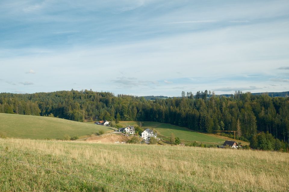 in Ludwigschorgast