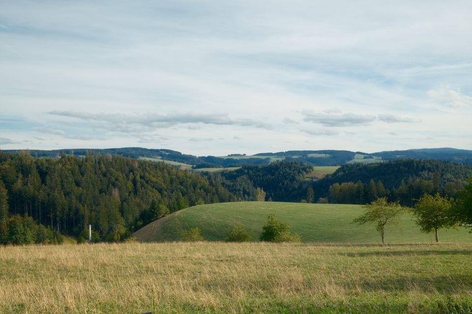 in Bayerisch Eisenstein