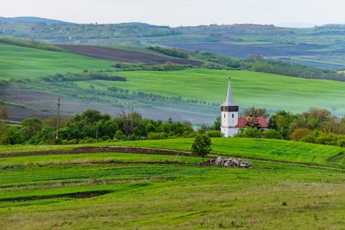 Ingyenes stockfotó domb, farm, fű témában Stockfotó