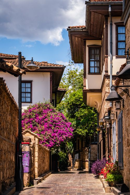 Free Historic alley with flowering plants and traditional architecture in a picturesque old town. Stock Photo