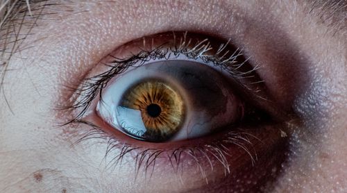 Free Detailed close-up of a human eye displaying the intricate patterns of the brown iris. Stock Photo