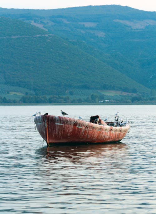 Fotos de stock gratuitas de barca, embarcación, lago