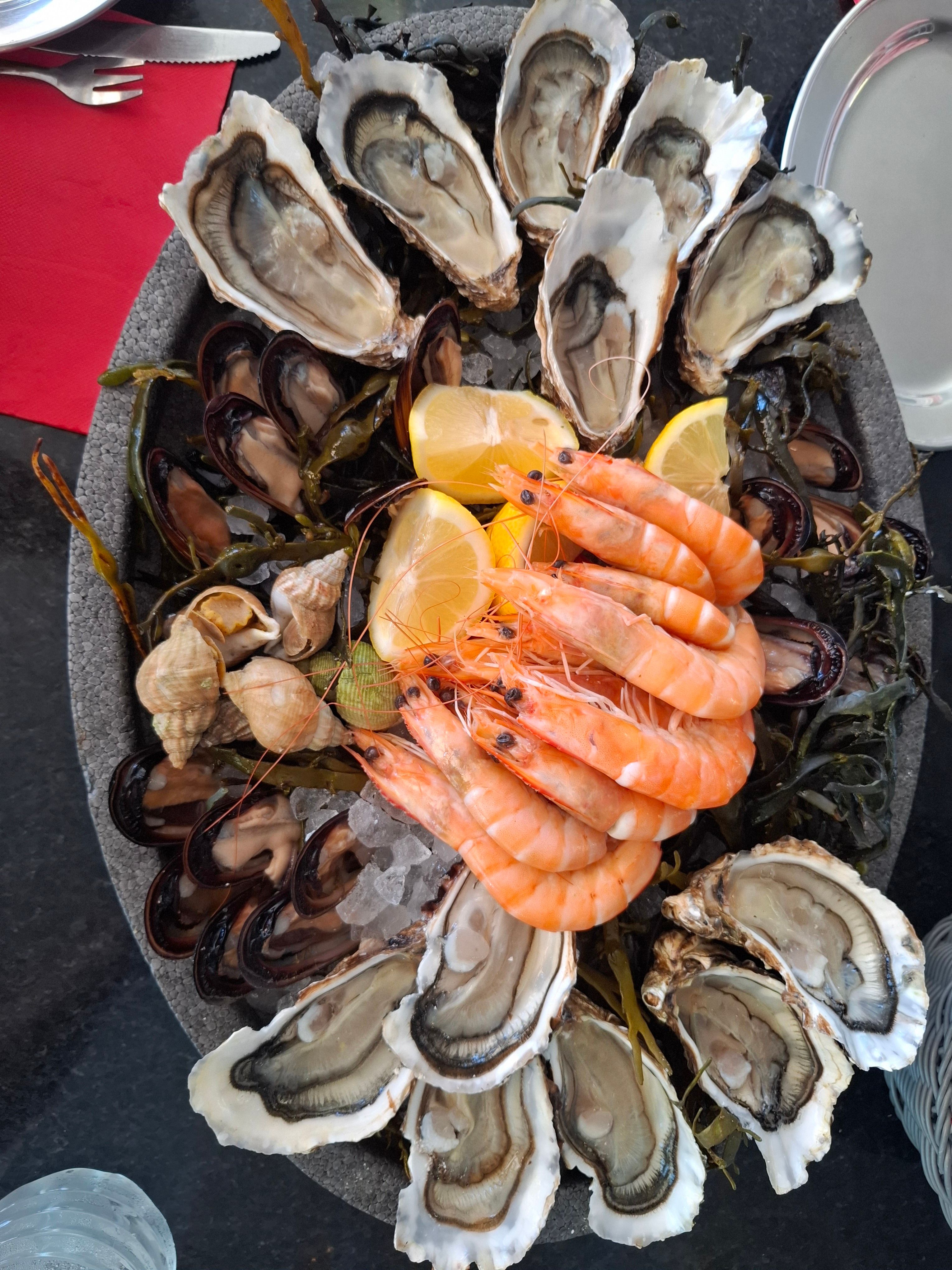 Delicious seafood platter featuring fresh oysters, prawns, and mussels on ice.