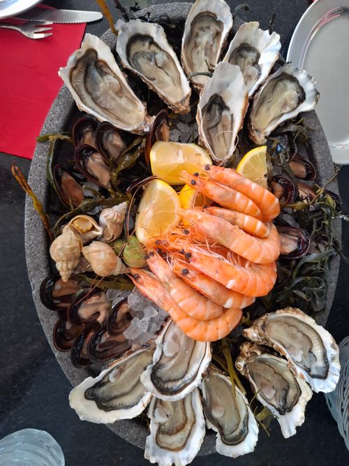 Free Delicious seafood platter featuring fresh oysters, prawns, and mussels on ice. Stock Photo