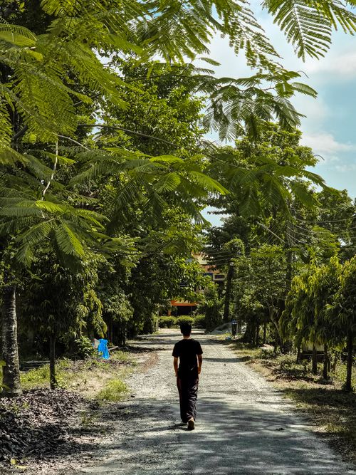 Free A person walking on a tree-lined path in Pundibari, India, surrounded by lush greenery and serene nature. Stock Photo