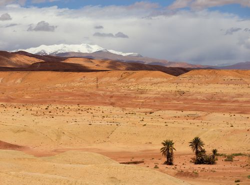 Free Beautiful Moroccan desert landscape with Atlas Mountains and palm trees in view. Stock Photo