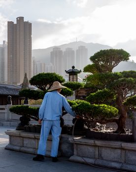 身着传统服饰的园丁在香港天际线的映衬下给盆景树浇水。 - 相关推荐