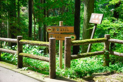 Free Tranquil forest pathway in Ome, Tokyo, Japan, perfect for outdoor hiking adventures. Stock Photo