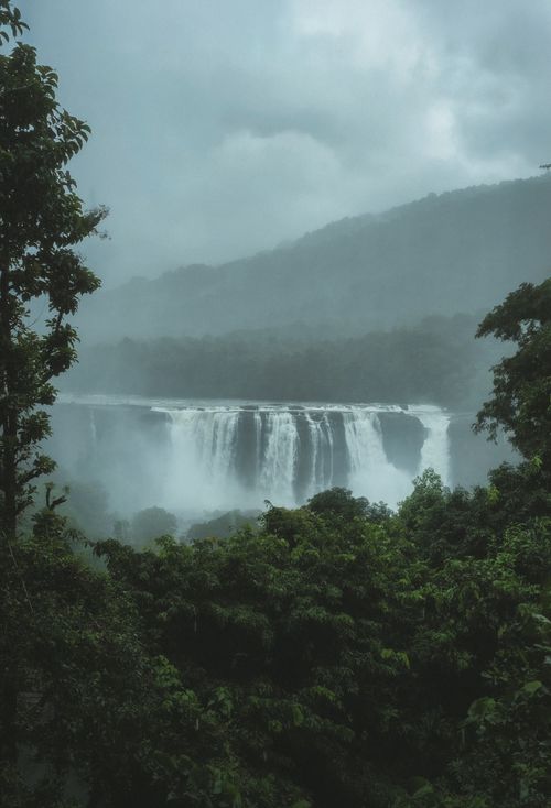 Free A stunning waterfall cascades through dense, misty rainforest, creating a tranquil, natural spectacle. Stock Photo